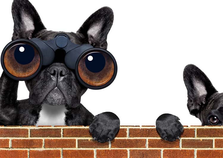 BlogBanner_userResearch2017